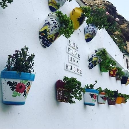 La Medina Baja Apartment Setenil De Las Bodegas Exterior photo